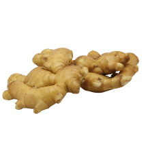 Africa bulk new crop bright color organic fresh ginger form china